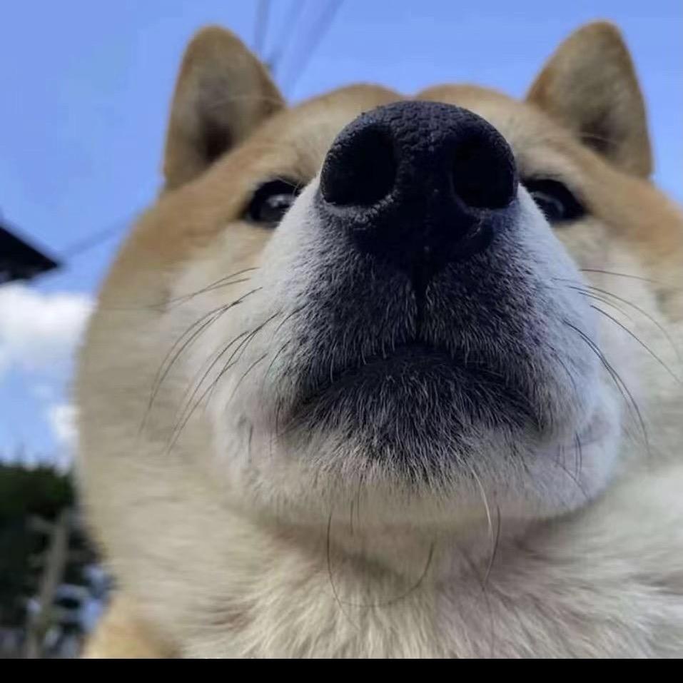 章章