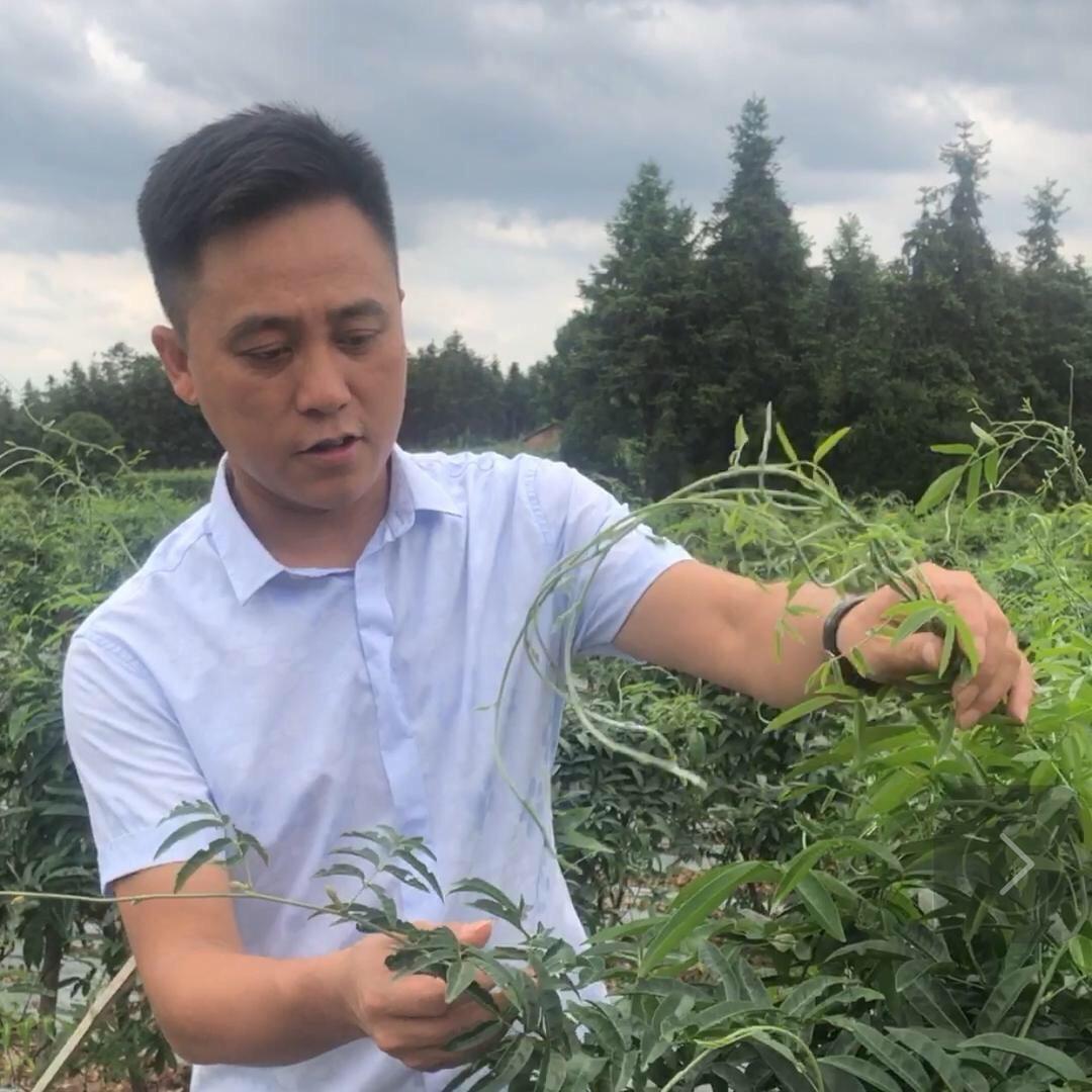小左说农业