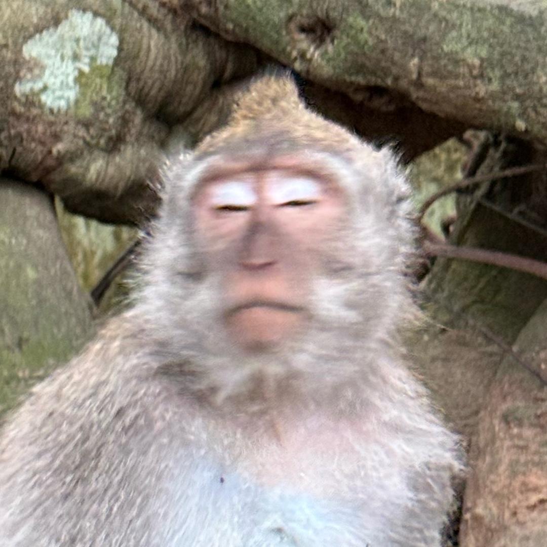 ———：）