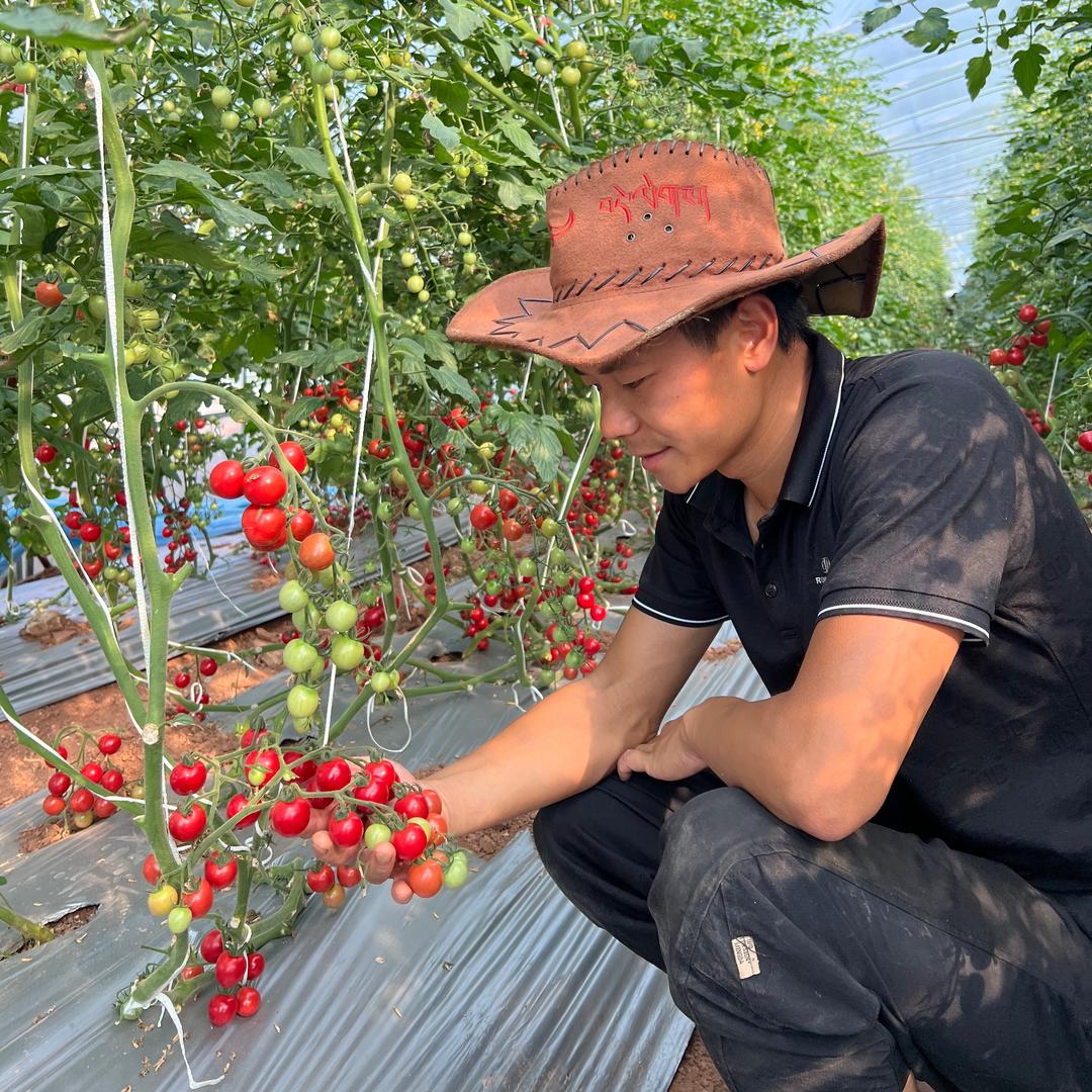 种地的小尹@抖音