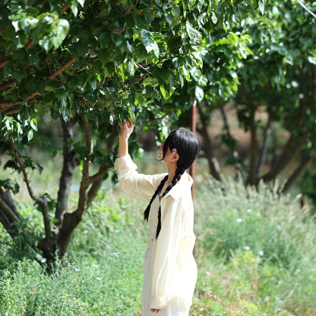 朵朵