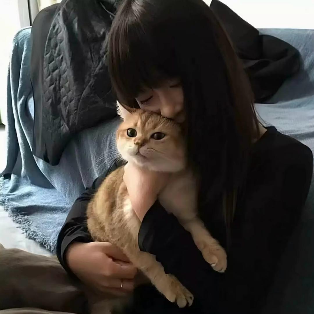 你头发乱了O