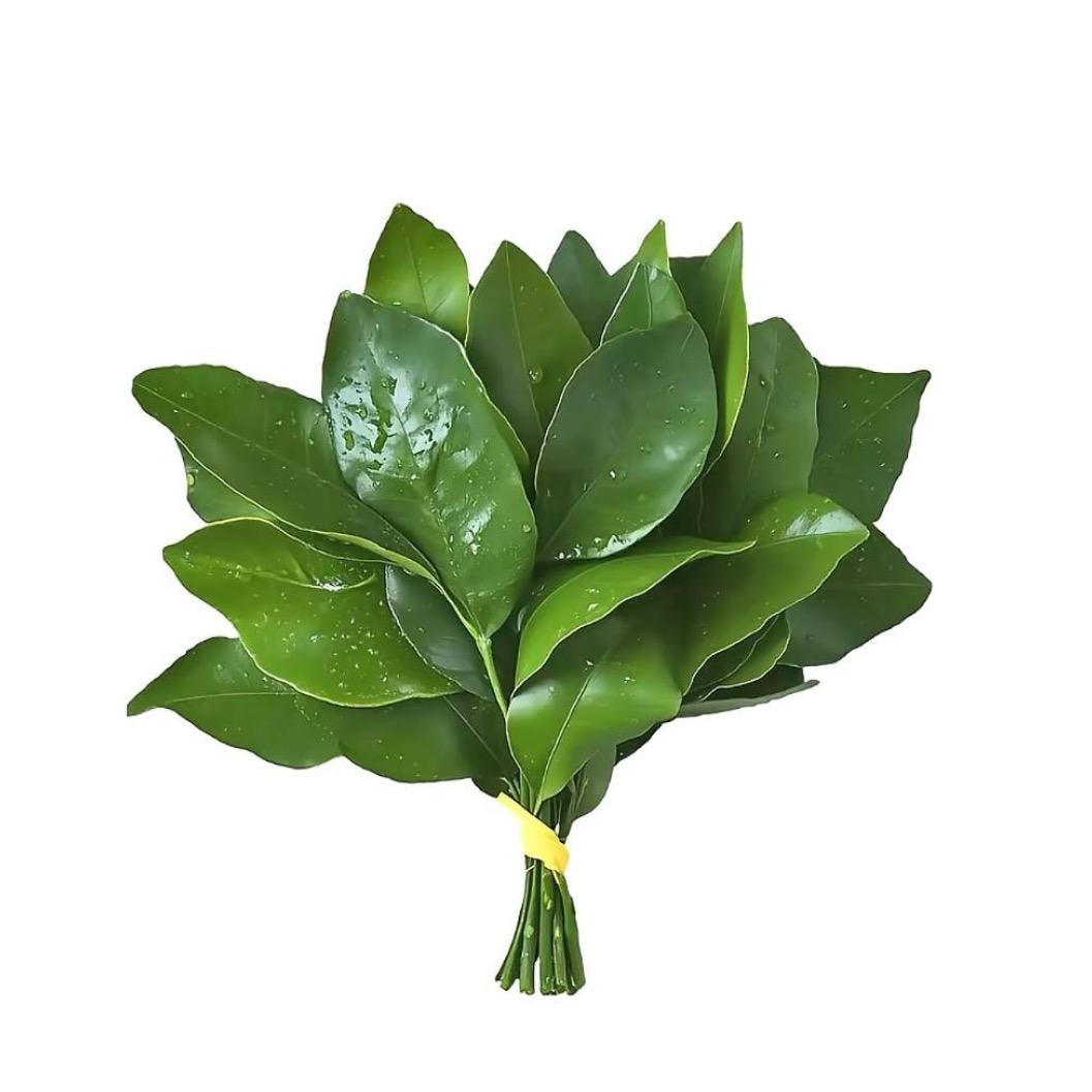明天就退休i