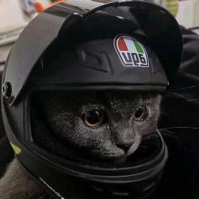 猫九影视