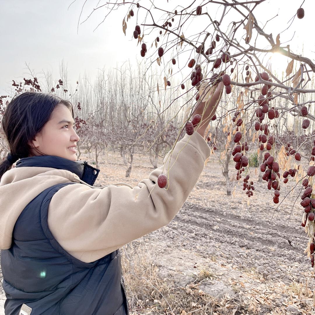 西域满疆宏果业