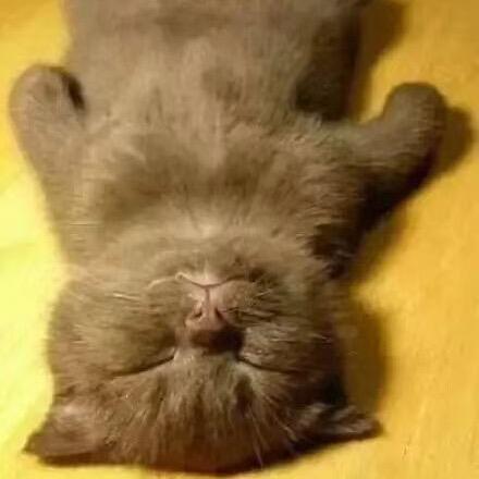 蜀鑫油（广州）有限公司