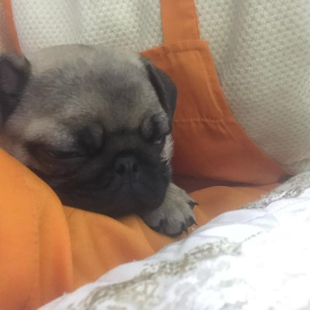 一生快乐