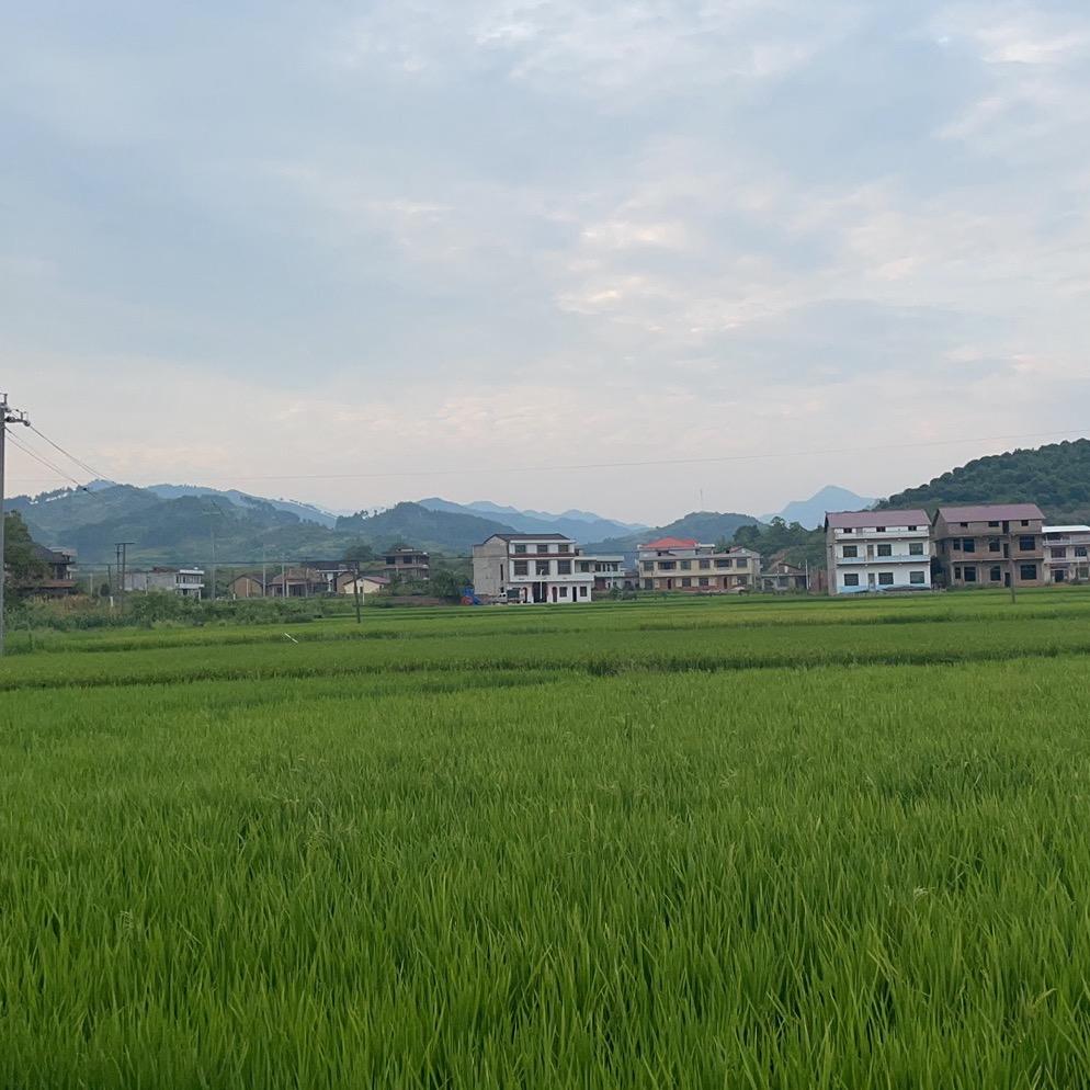 张三李四