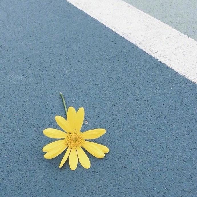 一生所爱