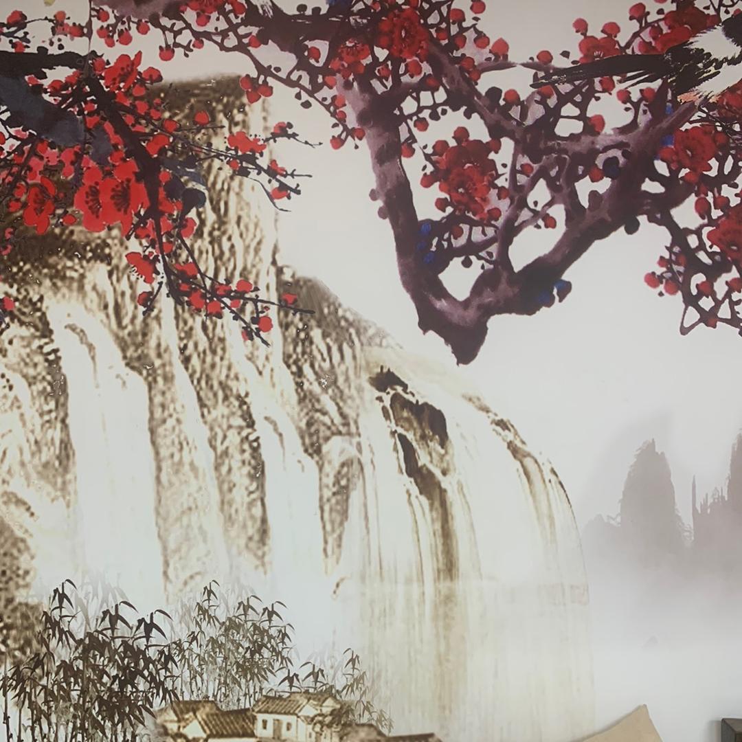 盛 世 梓 骁