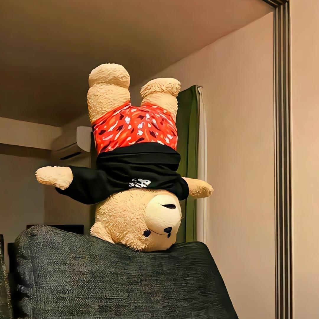 梅树籽