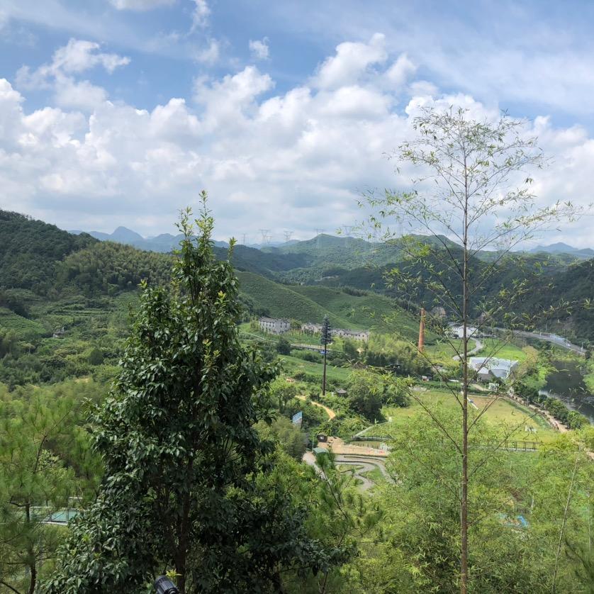 小卤蛋儿