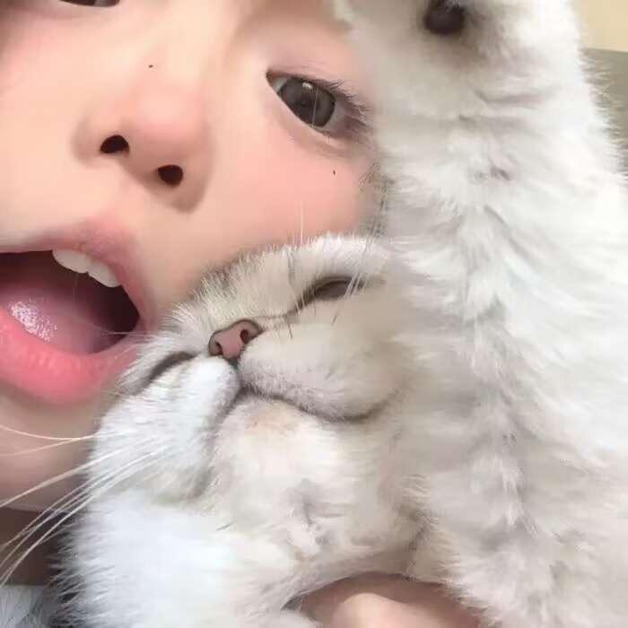 茉莉
