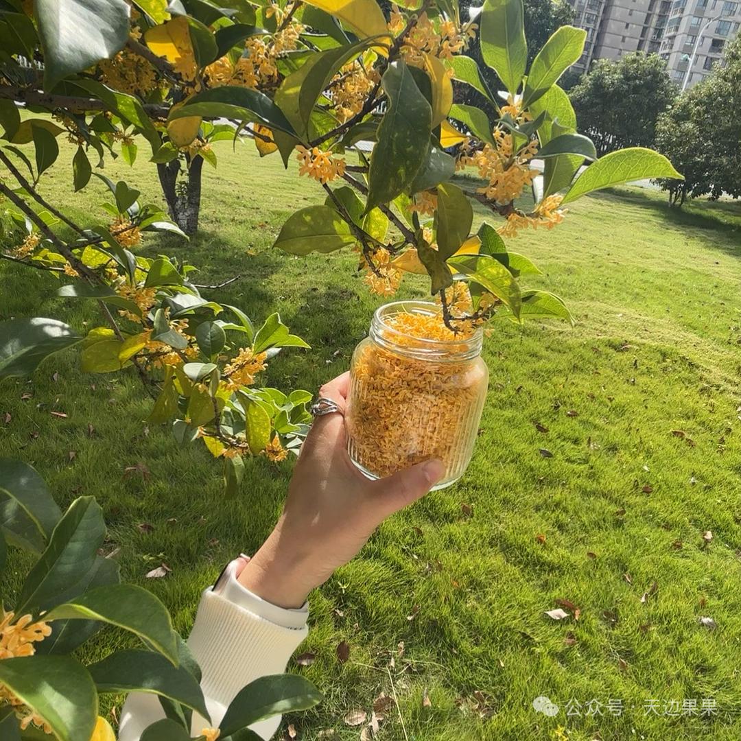 泽泽妈（带娃日常）