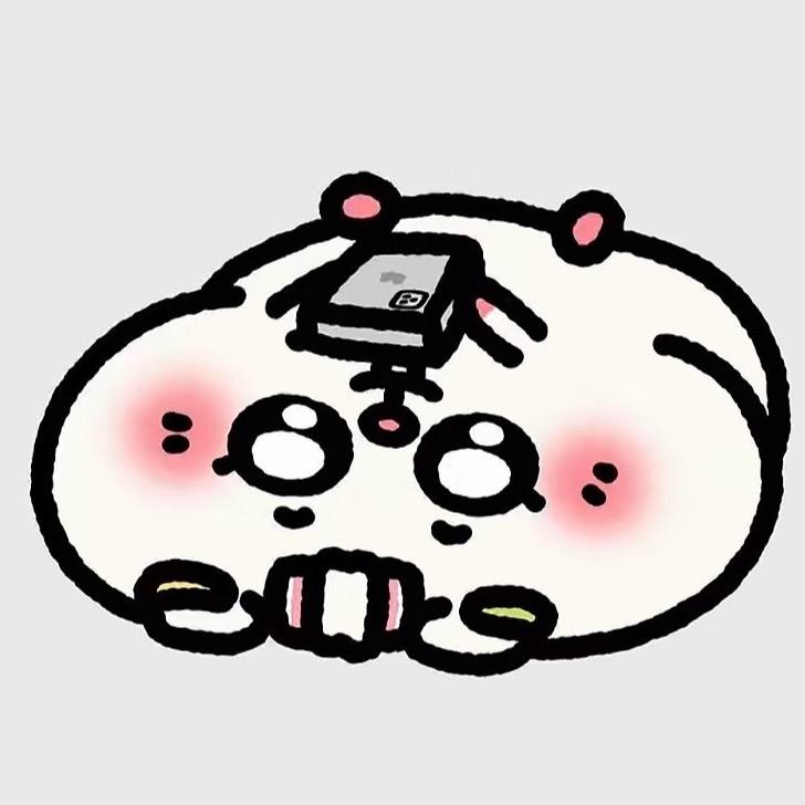 ･ᴗ･꧞
