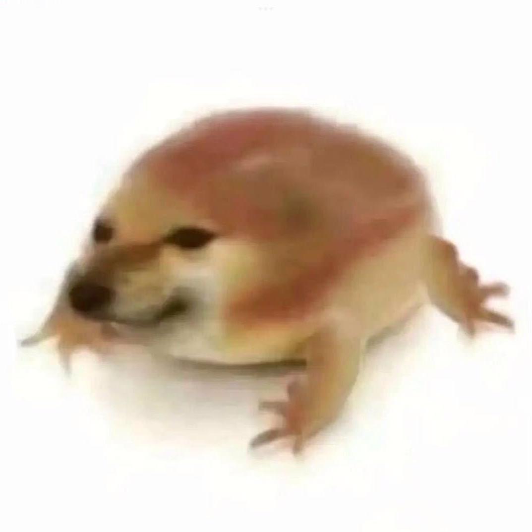 蛤蟆头