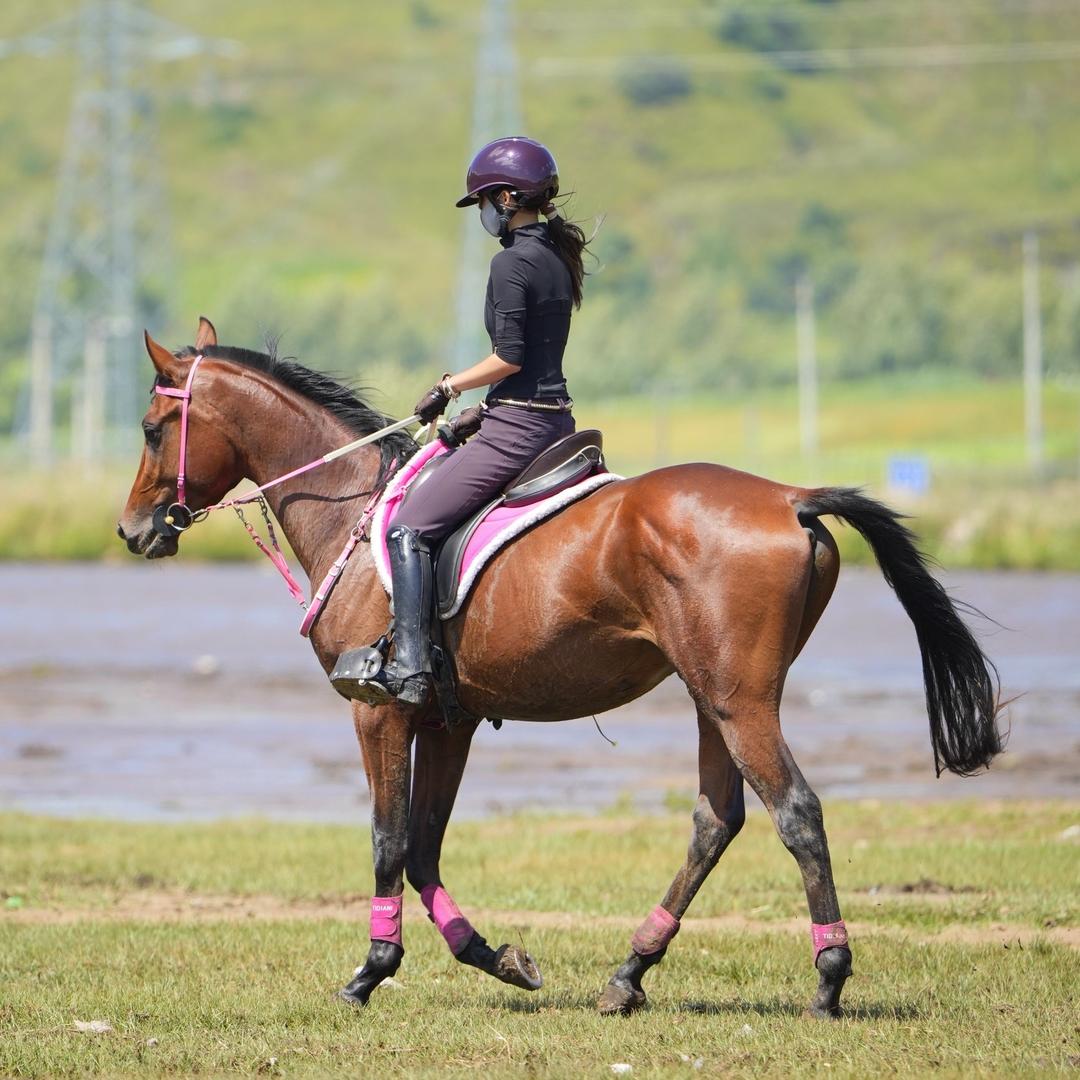 优雅的丹妮 🥳