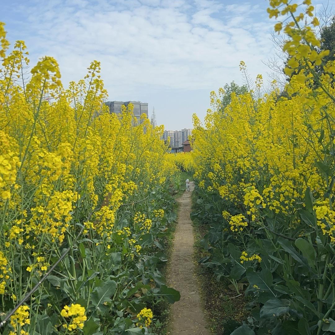 你好，下次请早点