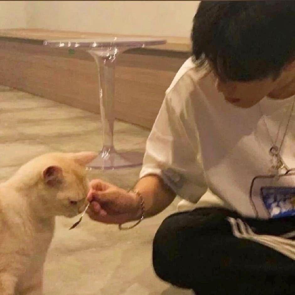 小豪