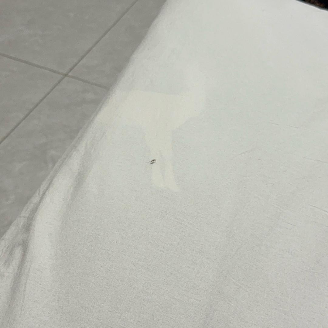 维德里便利店(湖贝路店)驰悦文aa小小直播号