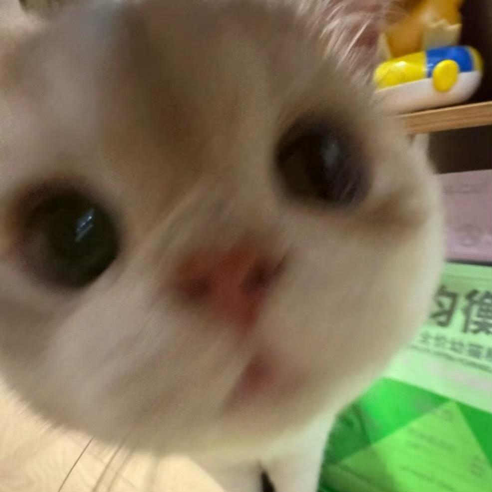 孟很奇妙