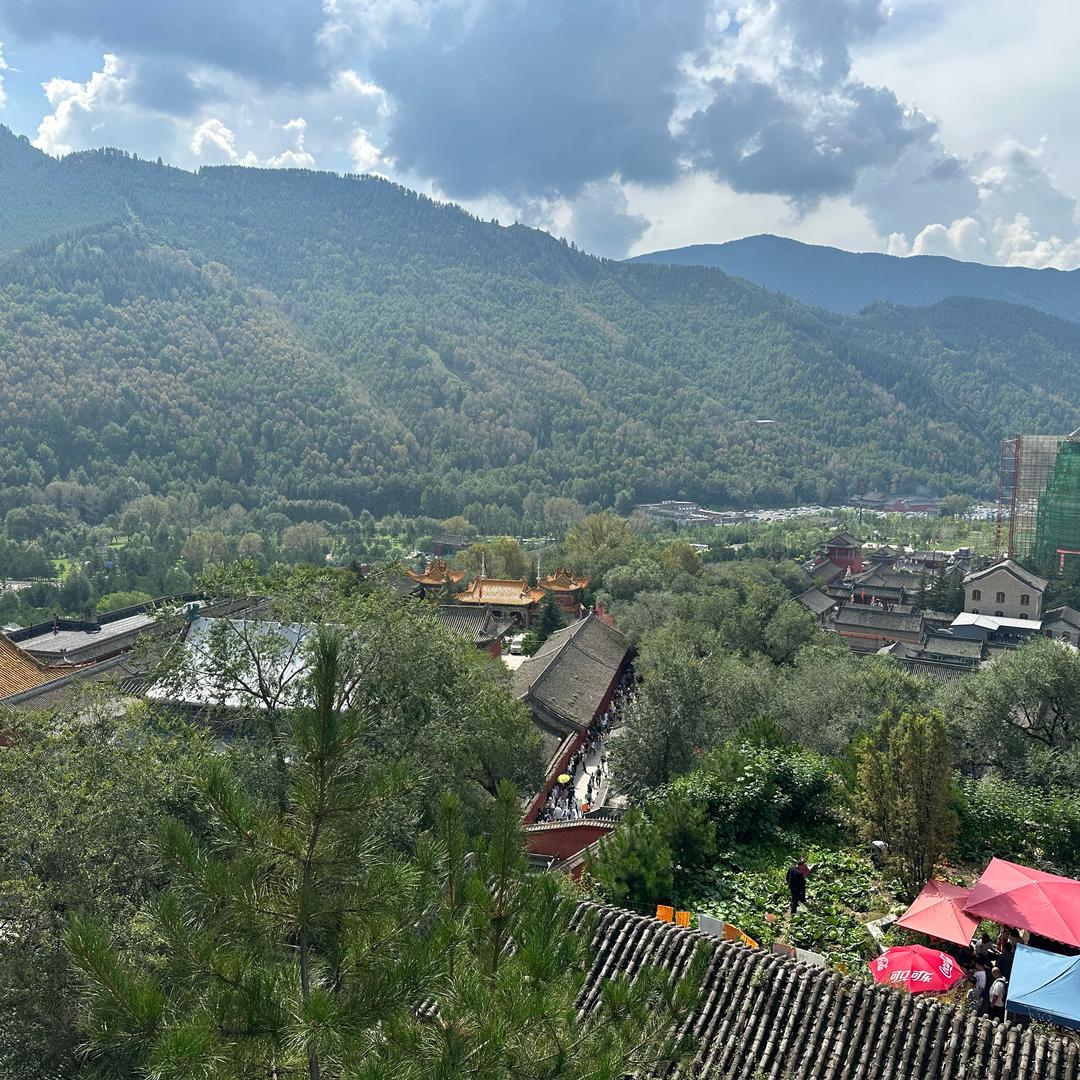 五台山糖糖