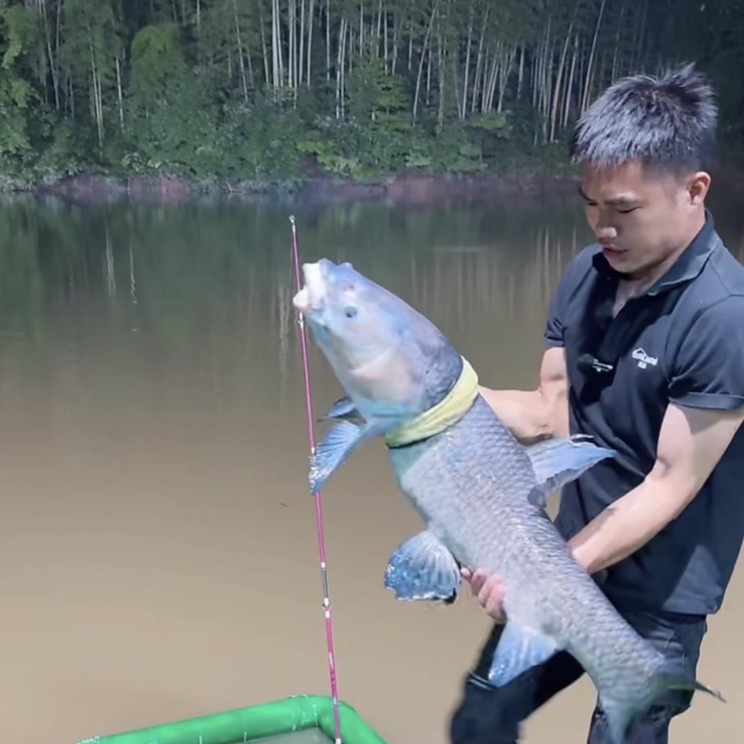 锋仔户外钓鱼