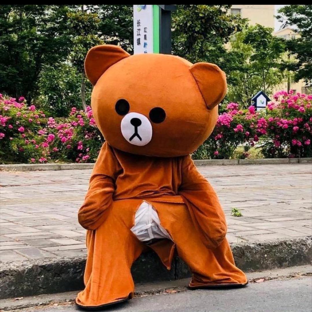 新疆皮皮熊- 小夏