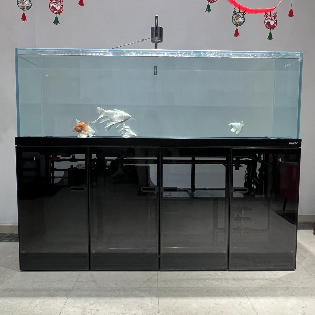 杭州亮彩鱼缸水族工厂店