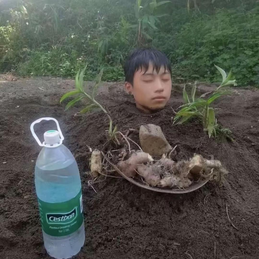 拎壶聪