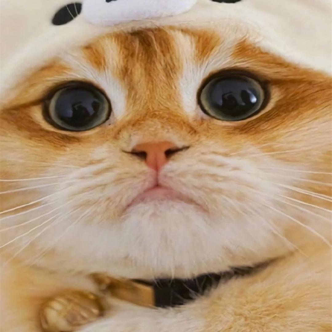 一天吃八顿饭挖