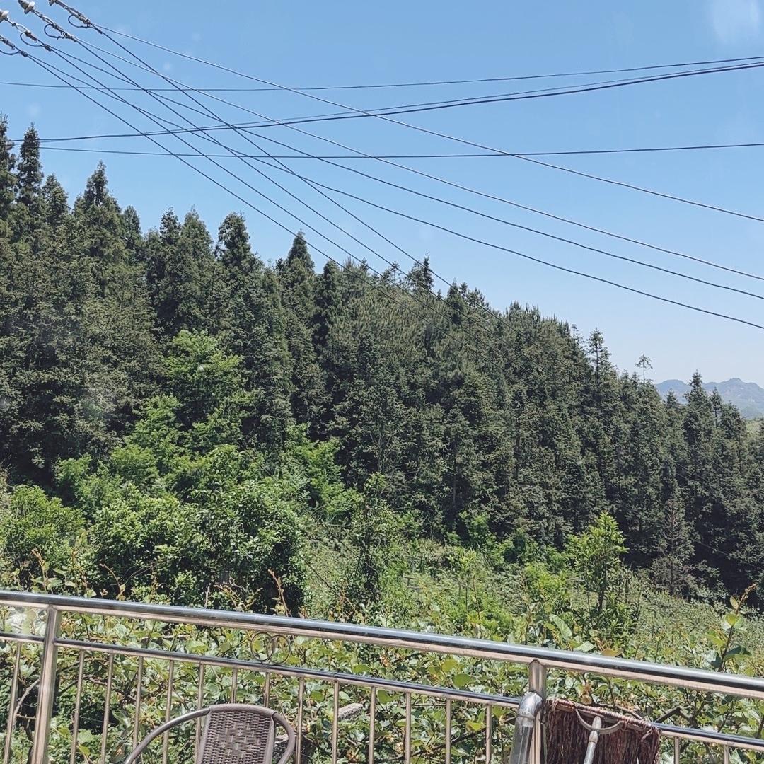 启明农产浪