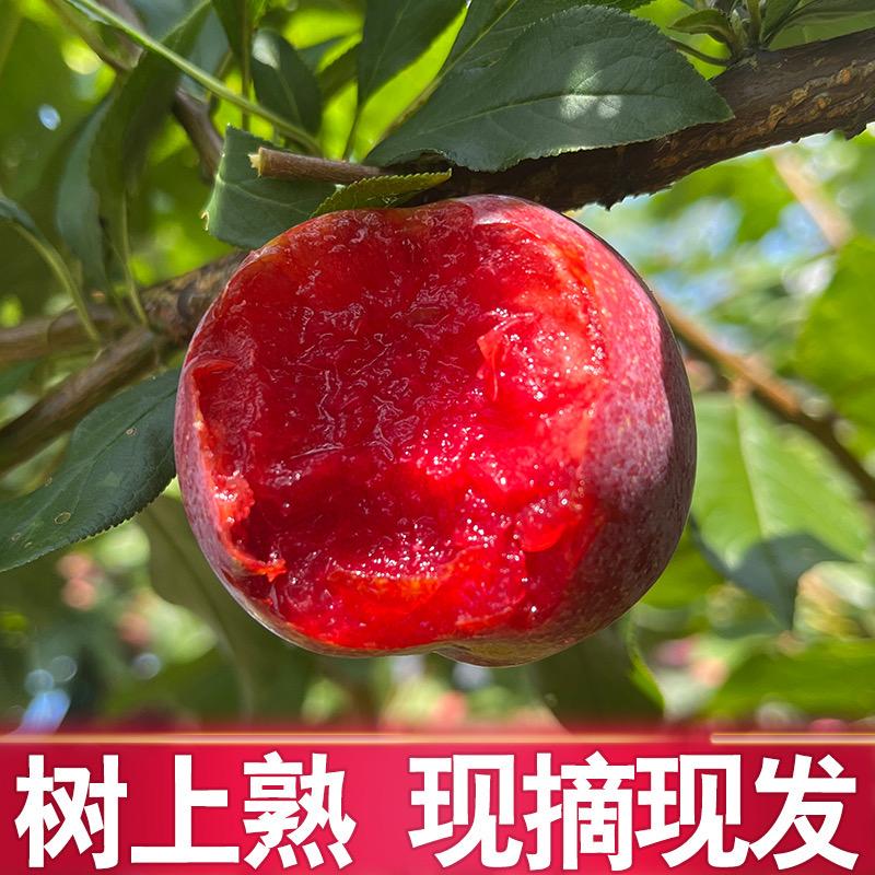 香香农产品经营部