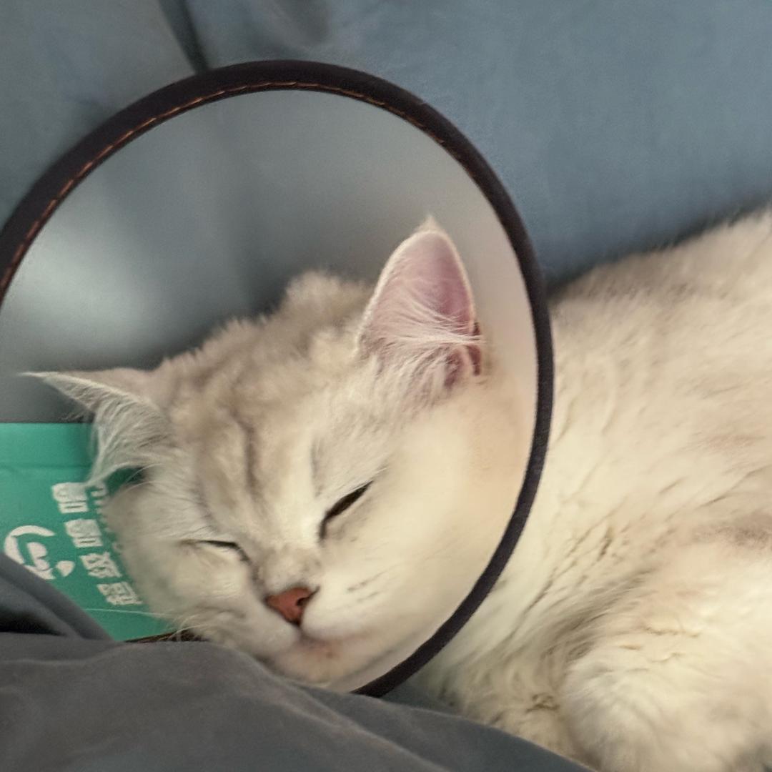 被老公抛弃的那个夜晚