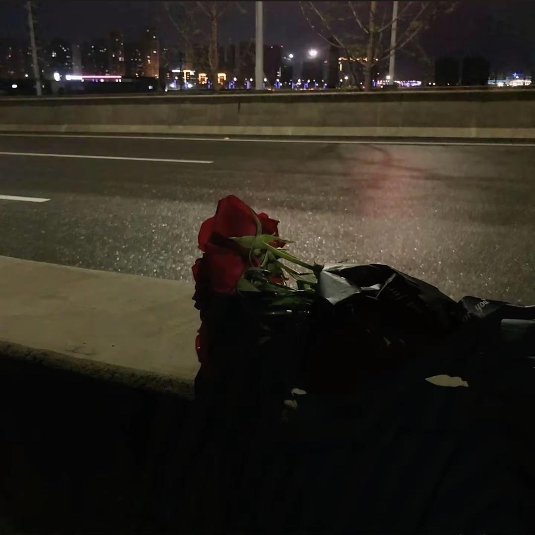 重生之我在从化卖土鸡