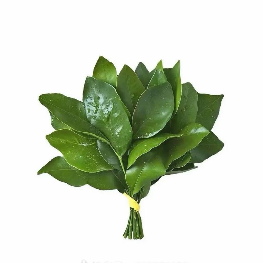 侨