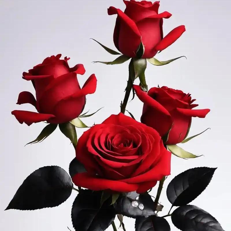 Atu（阿土）三角洲行动