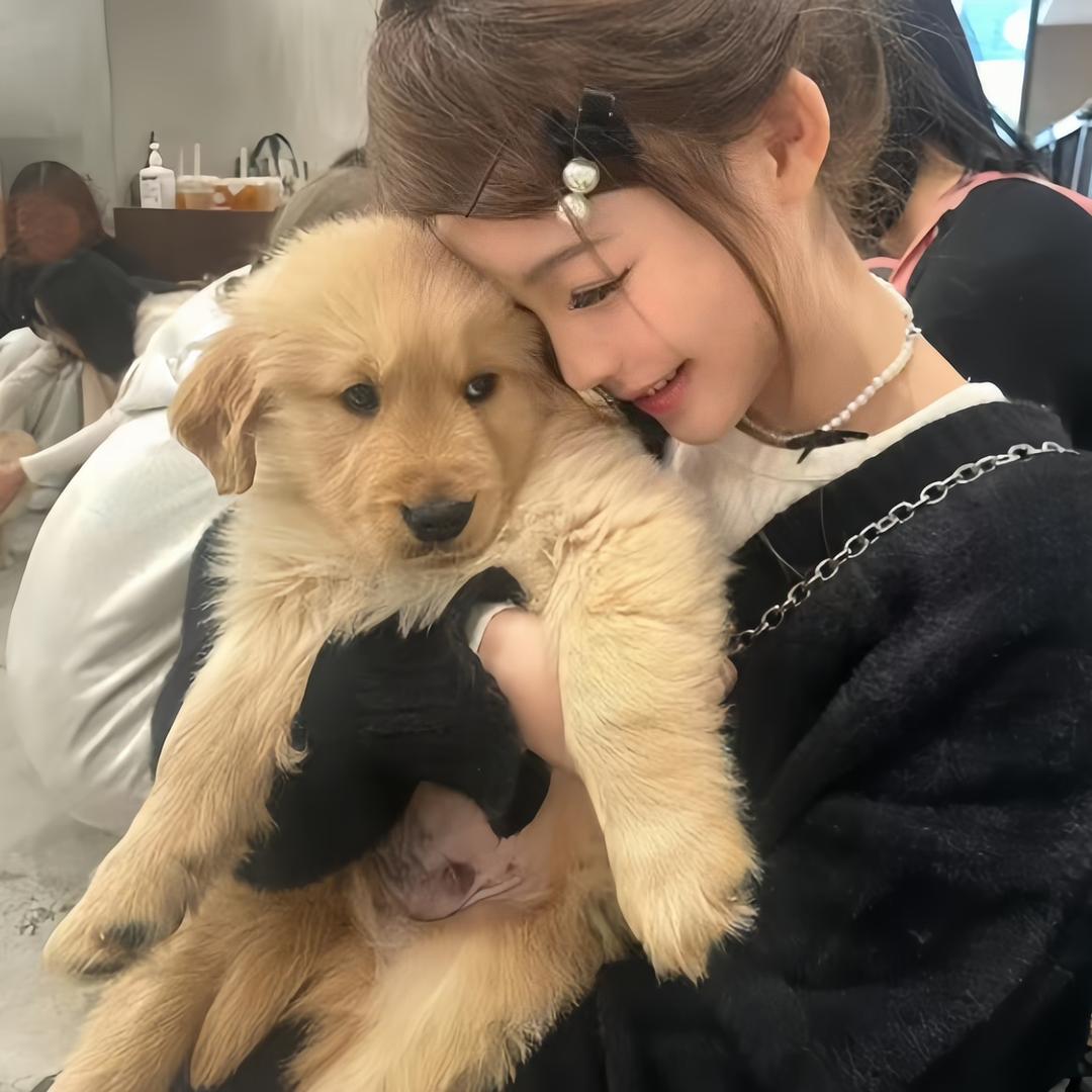 ˃̣̣ᯅ˂̣̣