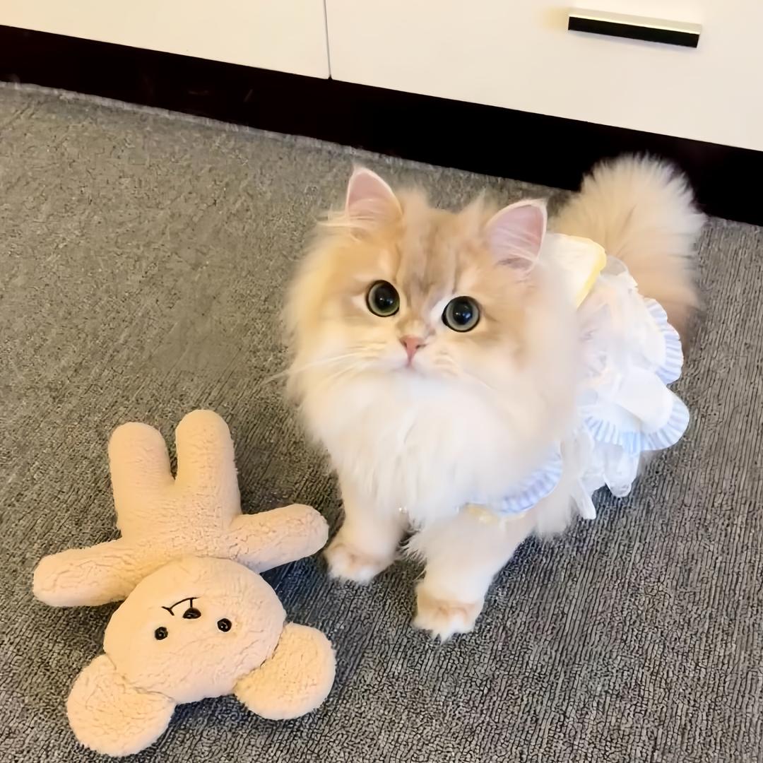 kiki