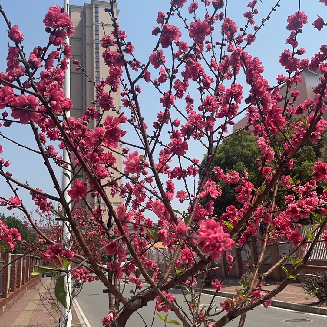 锦绣养生优选店