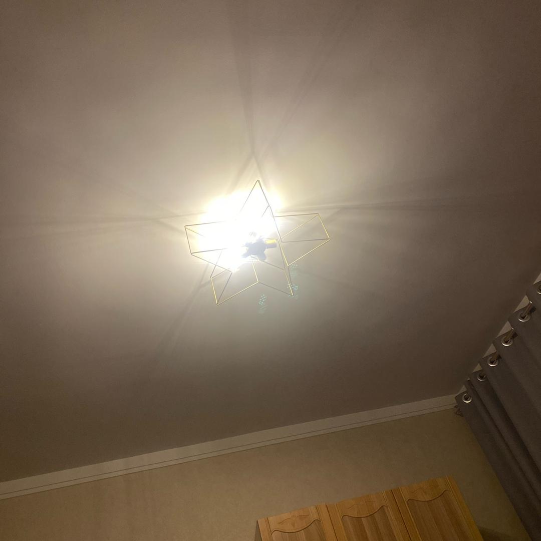 蛙