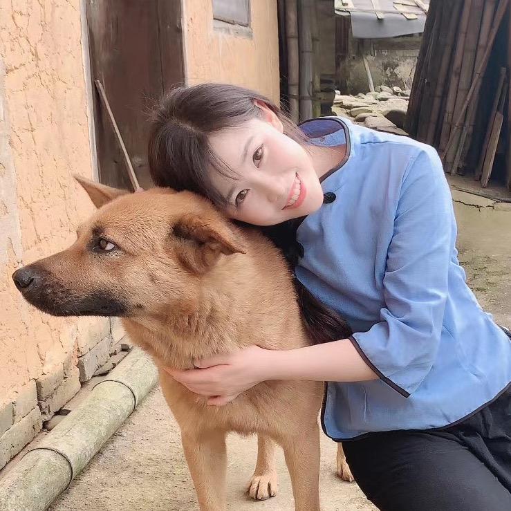 碗碗田