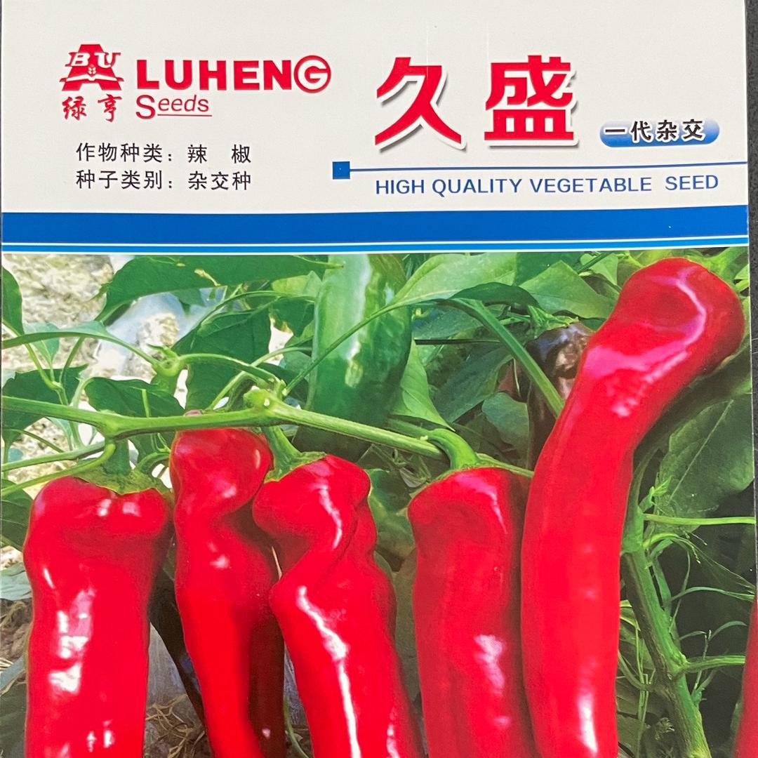 久盛