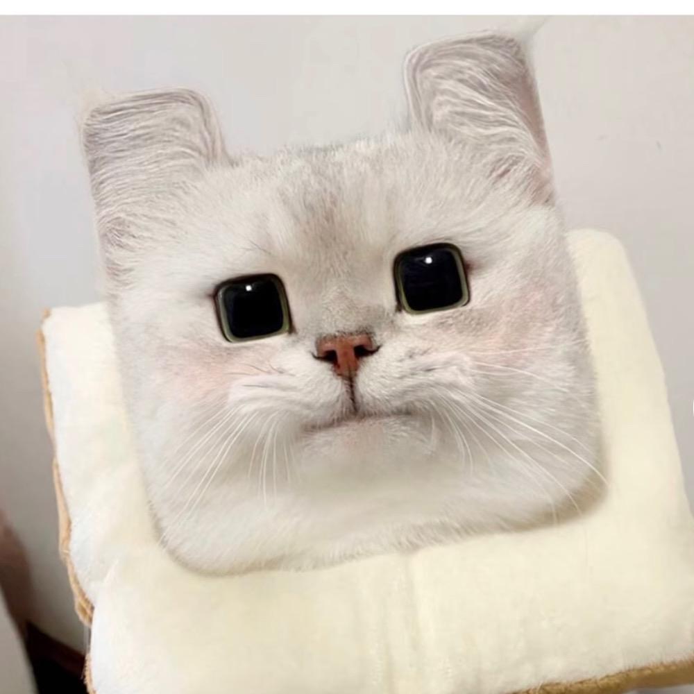 内蒙古在逃羊肉串