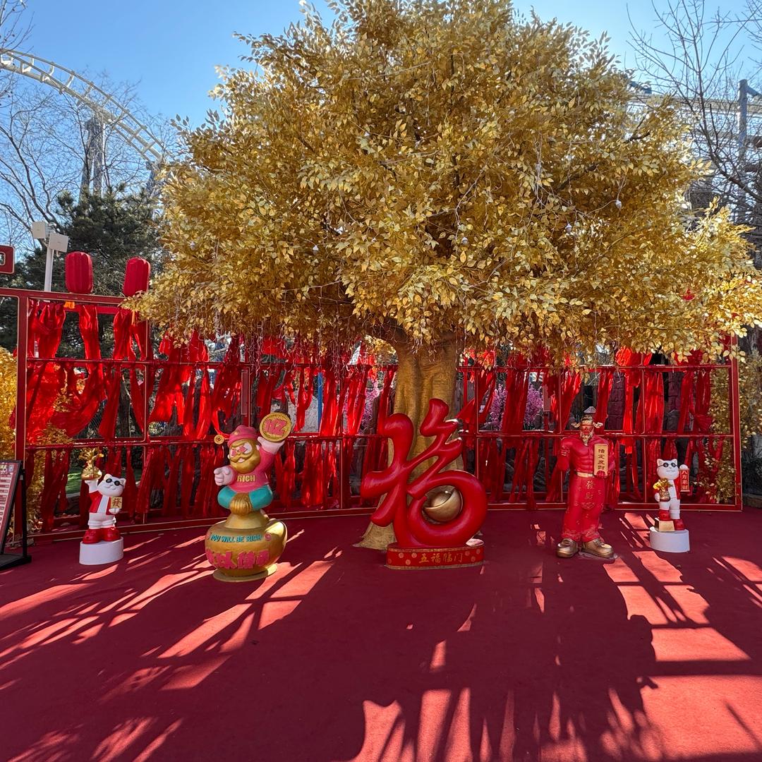 ✌🤡乐爱谷谷🌀