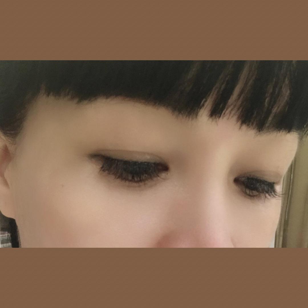 ❤️鸟儿，