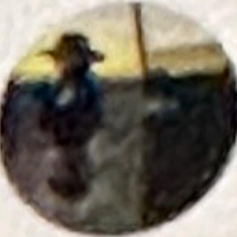 小黑