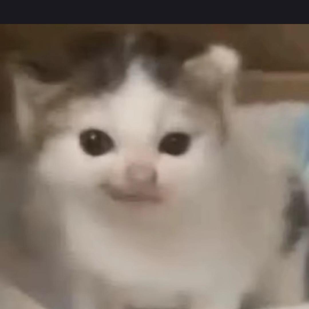 森清蝴蝶鲤