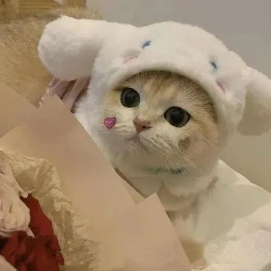 小锦梨（无畏契约）