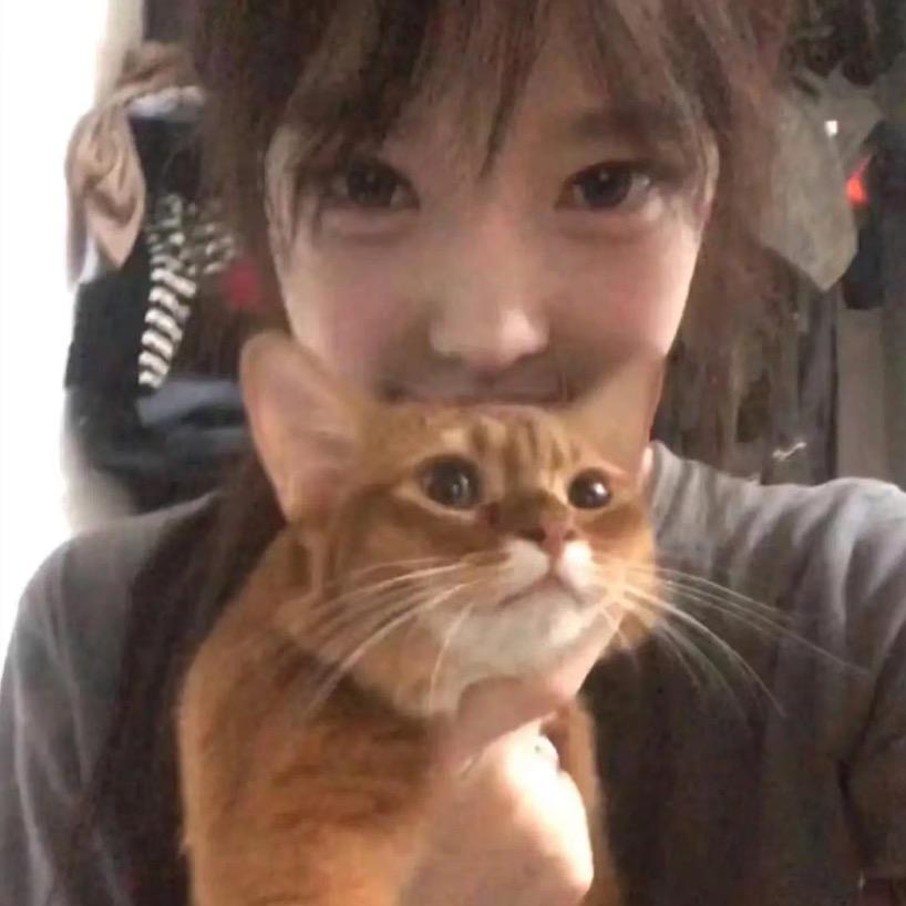 下雨咯11